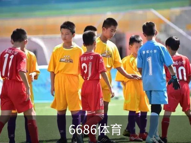 关于6686体育